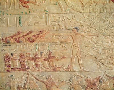 Rilievo che Raffigura Uomini che si Esercitano, dalla Mastaba di Ptah-Hotep e Akhti-Hotep da Egyptian 5th Dynasty